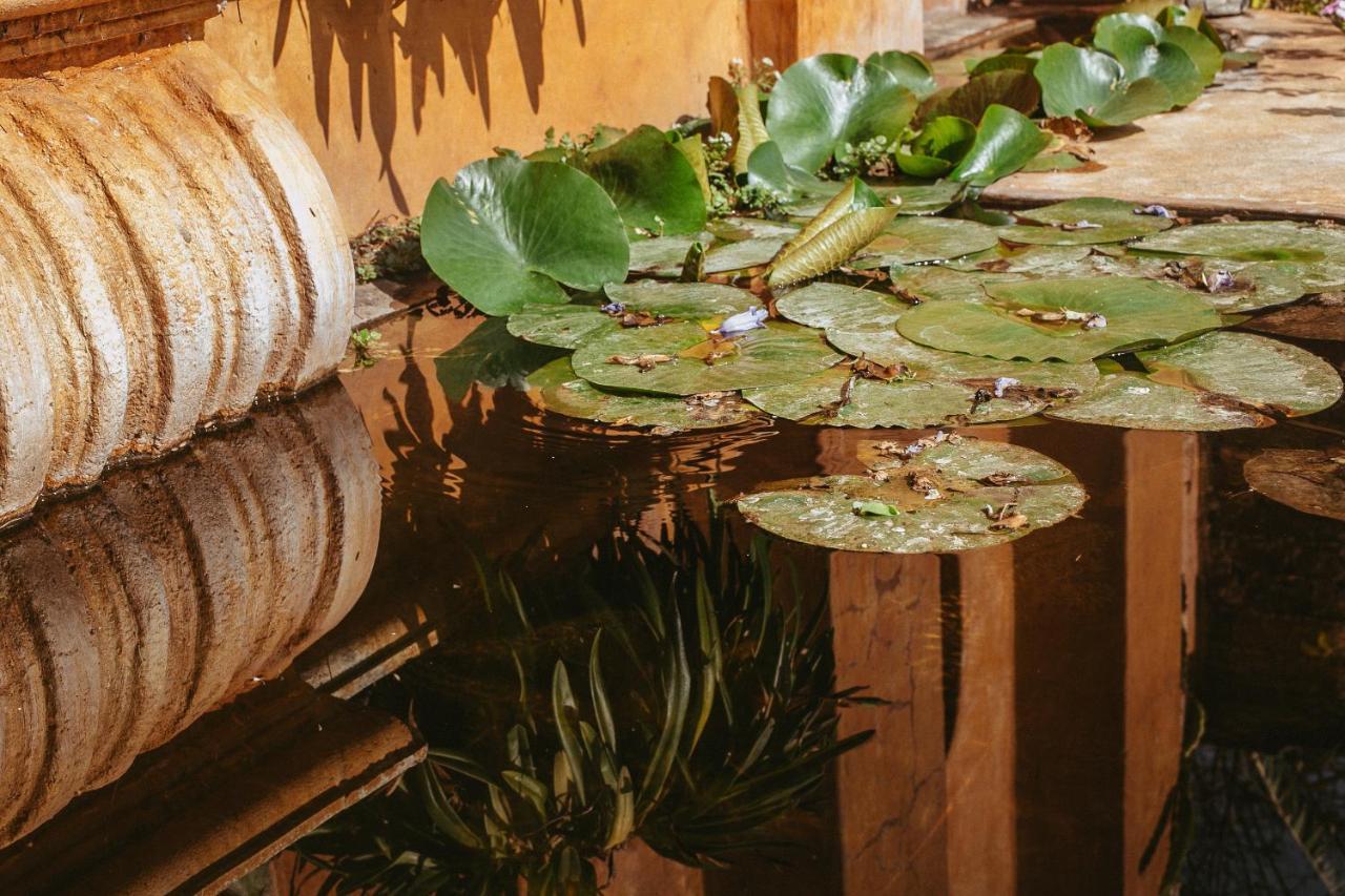 Quinta Cielo - Hotel Boutique Y Restaurante Malinalco Eksteriør billede