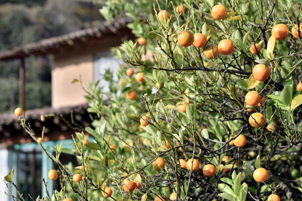 Quinta Cielo - Hotel Boutique Y Restaurante Malinalco Eksteriør billede