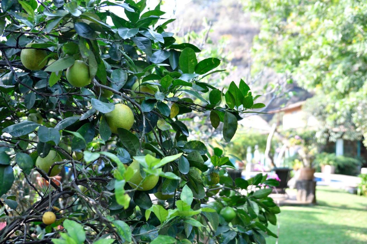 Quinta Cielo - Hotel Boutique Y Restaurante Malinalco Eksteriør billede