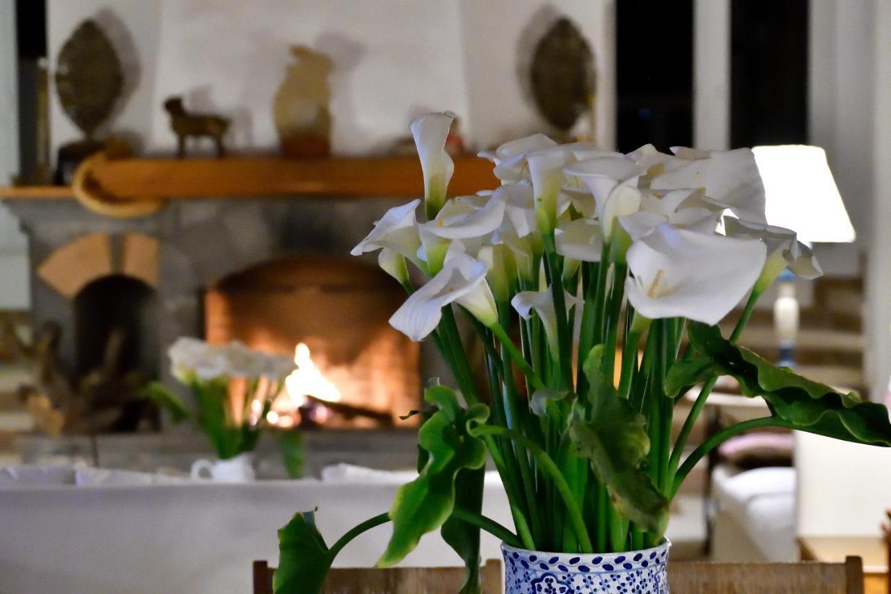 Quinta Cielo - Hotel Boutique Y Restaurante Malinalco Eksteriør billede