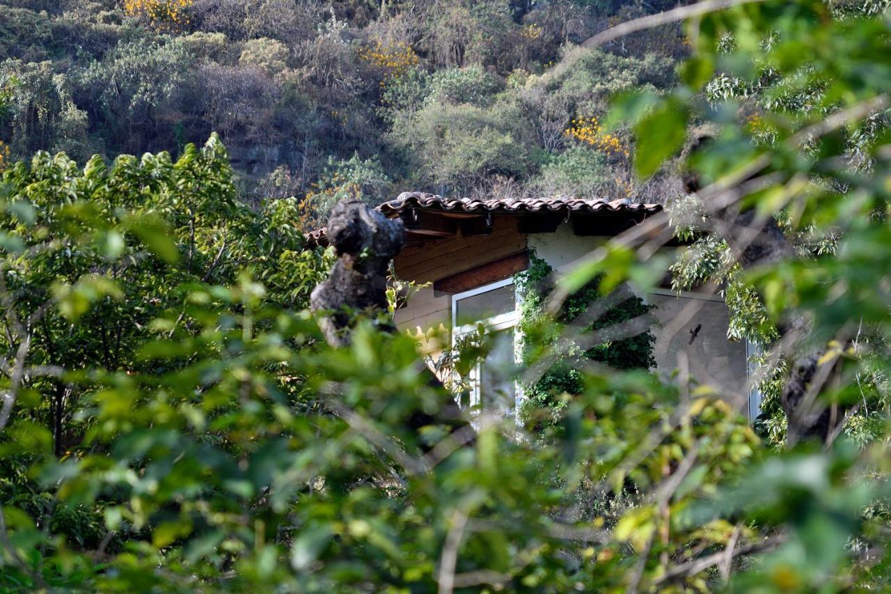 Quinta Cielo - Hotel Boutique Y Restaurante Malinalco Eksteriør billede
